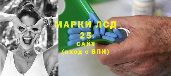 винт Алзамай
