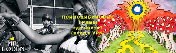 винт Алзамай
