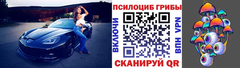 Псилоцибиновые грибы Magic Shrooms  Махачкала 