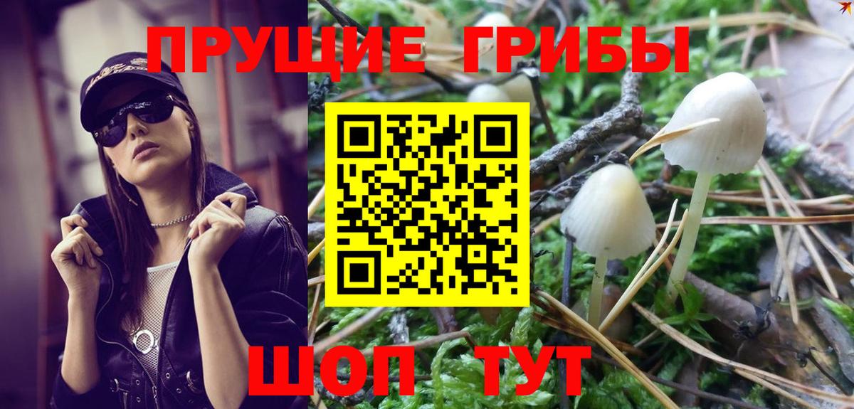 Псилоцибиновые грибы MAGIC MUSHROOMS Махачкала
