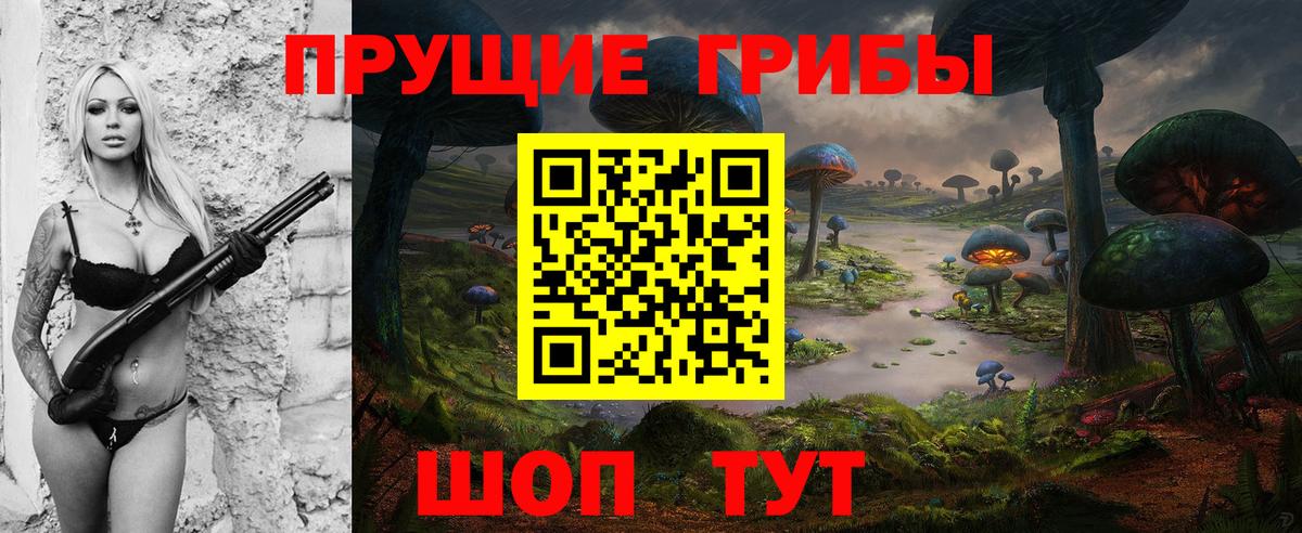 Махачкала  Галлюциногенные грибы Psilocybe  Вход с VPN 