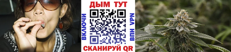 наркошоп  Махачкала  Канабис ГИДРОПОН 