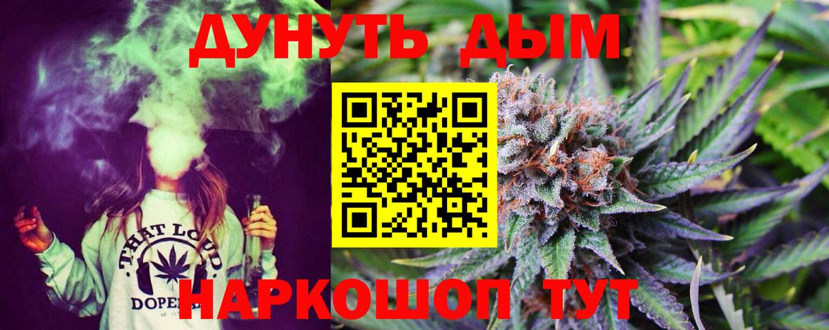 Канабис сатива Махачкала